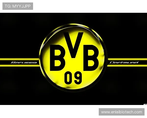 BV体育官方网站注册流程详解及新手玩家必知的账号激活技巧