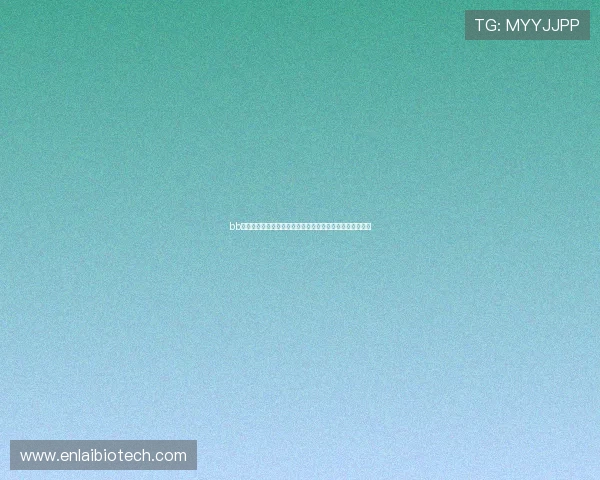 bb体育平台安全保障措施详解，保障用户账号信息与资金安全