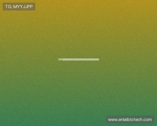 MK体育投注的最新优惠活动与彩金福利详细介绍帮助用户把握机会