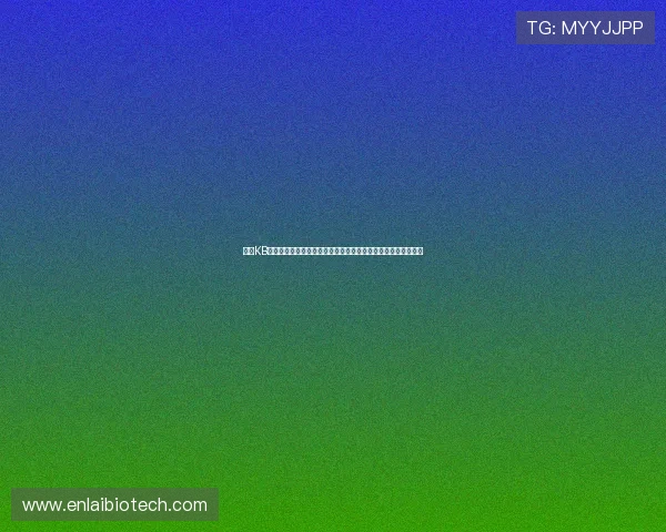 探索KB体育的创新技术应用与安全保障措施，保障玩家权益与平台稳定