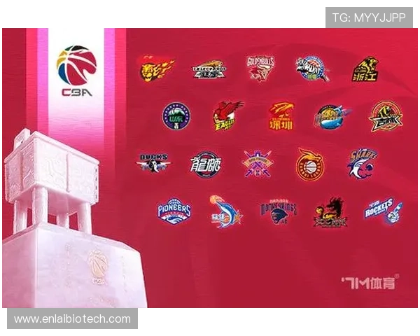 7m体育会员注册流程详解帮助新手快速完成账号注册与登录指南