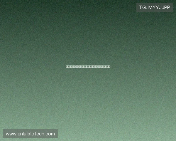 解析世界杯荷兰对瑞典比赛中的网络赌球现象及其对球迷的安全影响